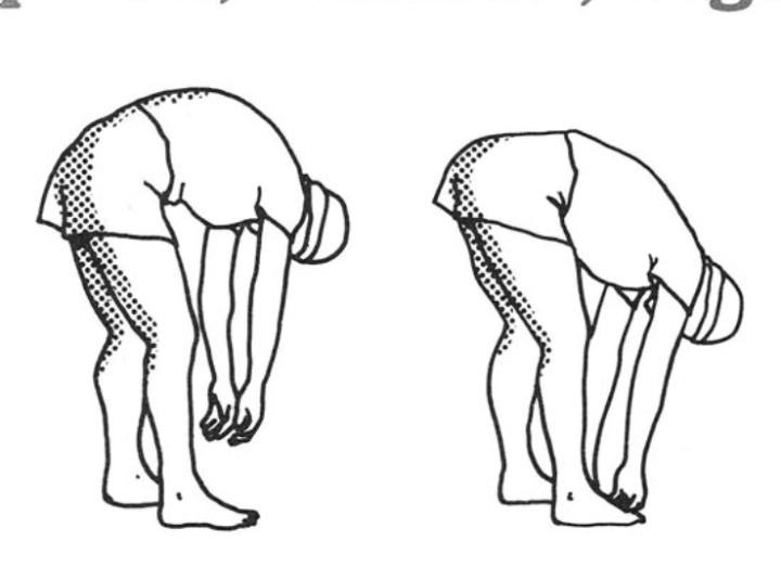 SERIE DE ESTIRAMIENTOS - Imagen 8