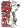 HOOK. Backswing